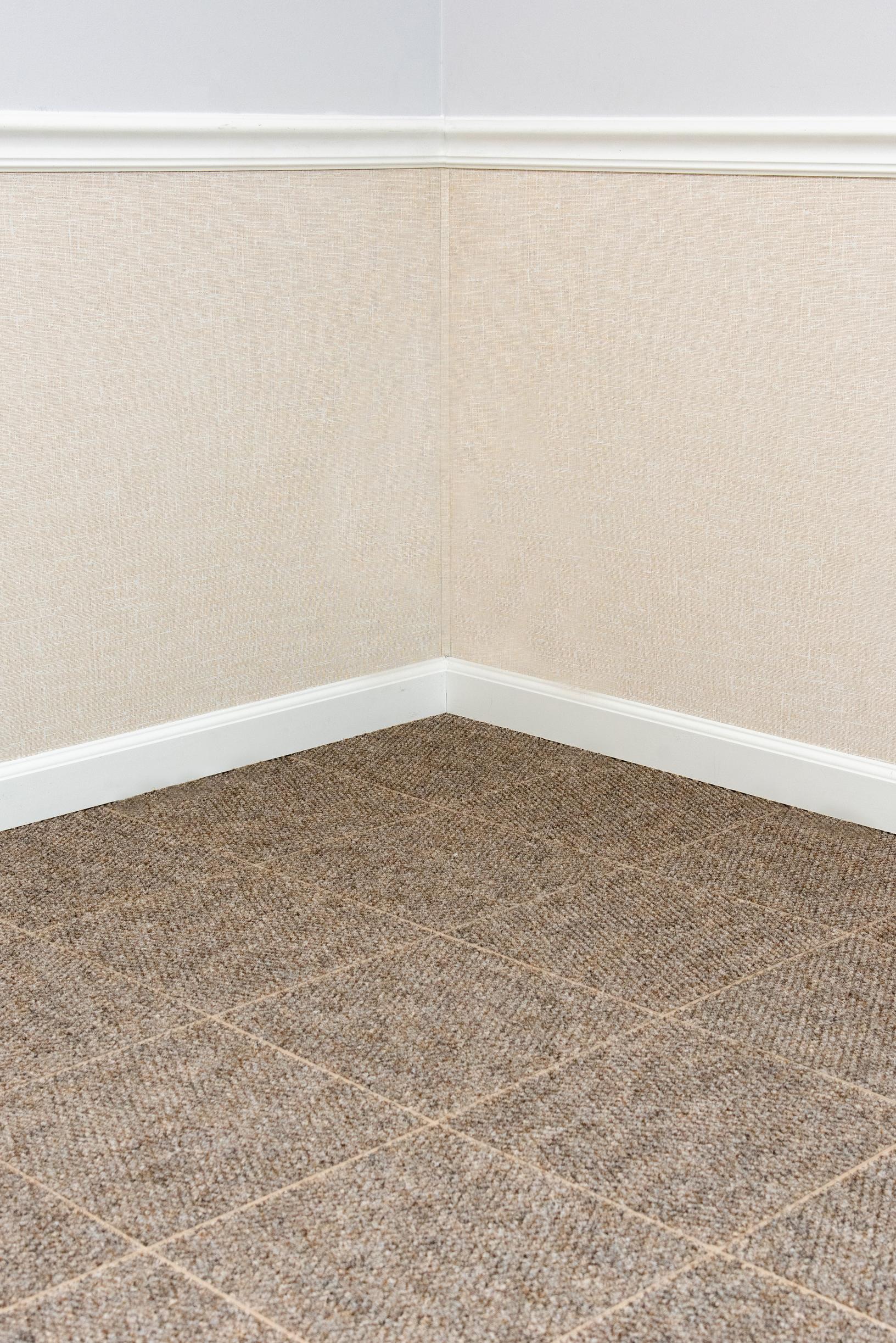 Mocha Carpeting